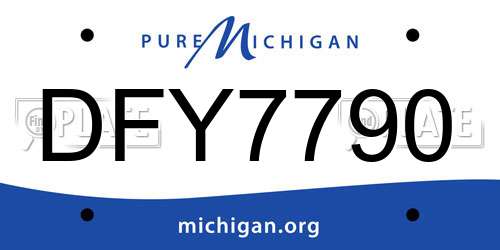 DFY7790 Michigan License Plate