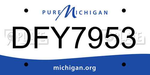 DFY7953 Michigan License Plate