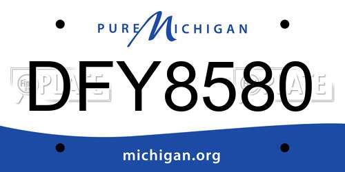 DFY8580 Michigan License Plate