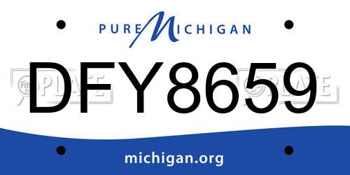DFY8659 Michigan License Plate