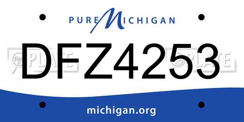 DFZ4253 Michigan License Plate