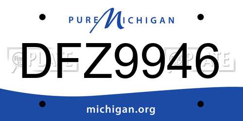 DFZ9946 Michigan License Plate