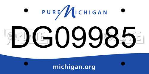 DG09985 Michigan License Plate