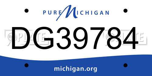 DG39784 Michigan License Plate