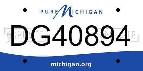 DG40894 Michigan License Plate