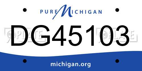 DG45103 Michigan License Plate