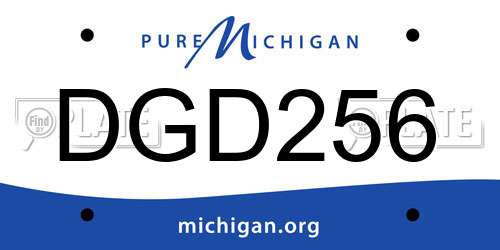 DGD256 Michigan License Plate