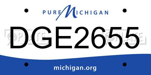 DGE2655 Michigan License Plate