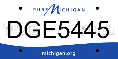 DGE5445 Michigan License Plate
