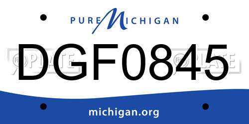 DGF0845 Michigan License Plate