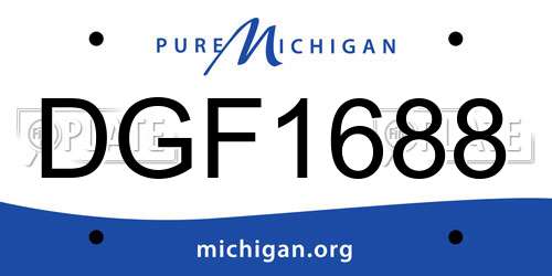 DGF1688 Michigan License Plate