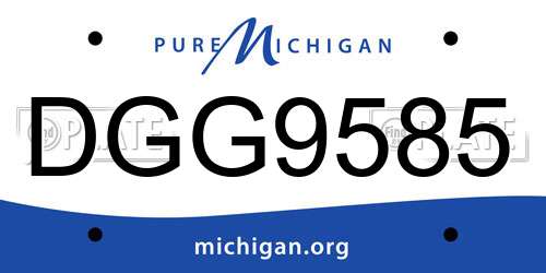 DGG9585 Michigan License Plate
