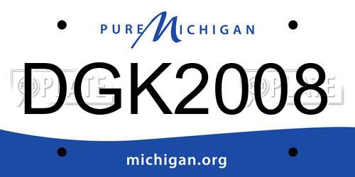 DGK2008 Michigan License Plate