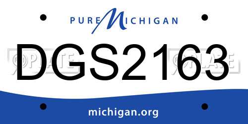 DGS2163 Michigan License Plate