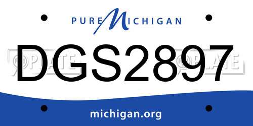 DGS2897 Michigan License Plate