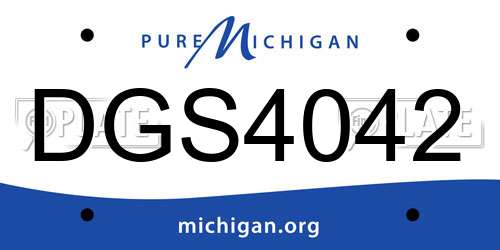 DGS4042 Michigan License Plate