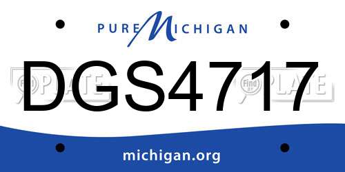 DGS4717 Michigan License Plate