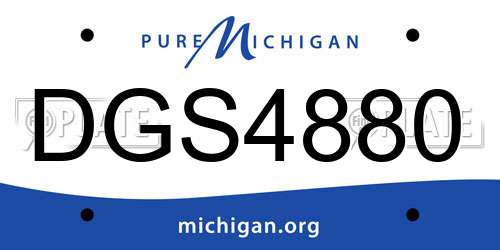 DGS4880 Michigan License Plate