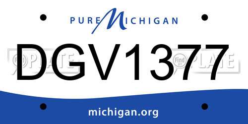 DGV1377 Michigan License Plate