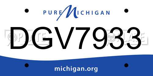 DGV7933 Michigan License Plate