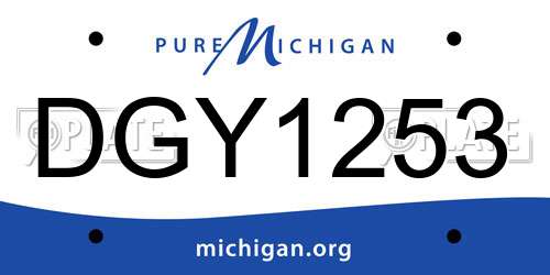 DGY1253 Michigan License Plate