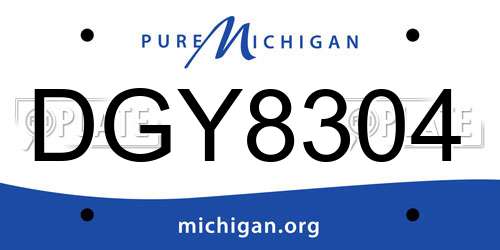 DGY8304 Michigan License Plate