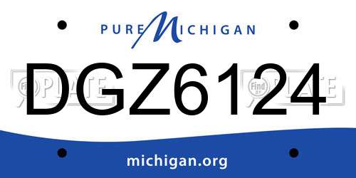DGZ6124 Michigan License Plate