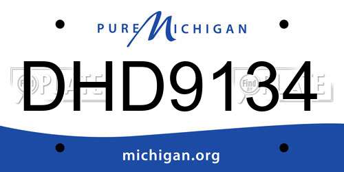DHD9134 Michigan License Plate