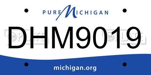 DHM9019 Michigan License Plate