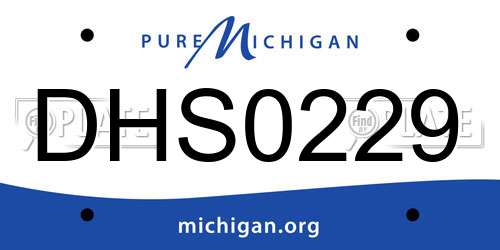 DHS0229 Michigan License Plate