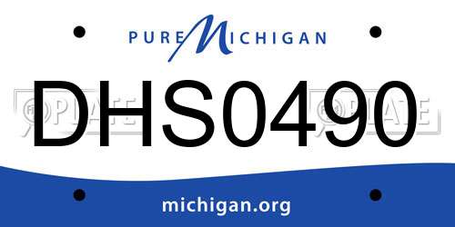 DHS0490 Michigan License Plate