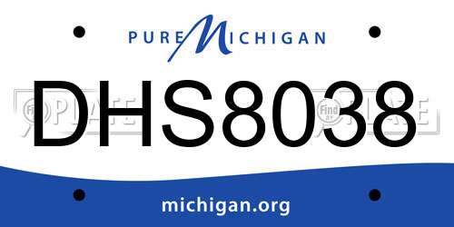 DHS8038 Michigan License Plate