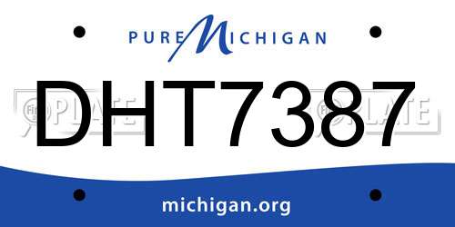 DHT7387 Michigan License Plate