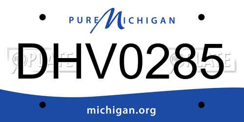 DHV0285 Michigan License Plate