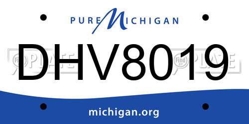 DHV8019 Michigan License Plate