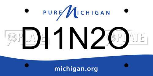 DI1N2O Michigan License Plate