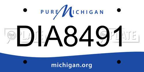 DIA8491 Michigan License Plate