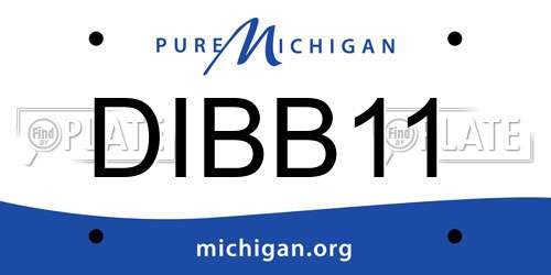DIBB11 Michigan License Plate