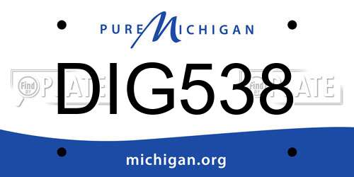 DIG538 Michigan License Plate