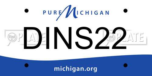 DINS22 Michigan License Plate