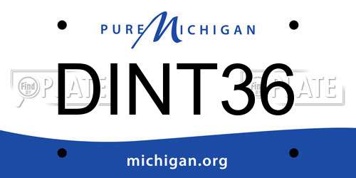DINT36 Michigan License Plate