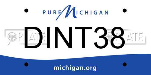 DINT38 Michigan License Plate