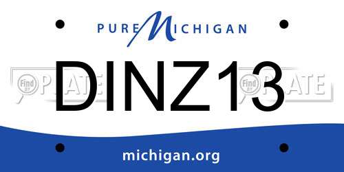 DINZ13 Michigan License Plate