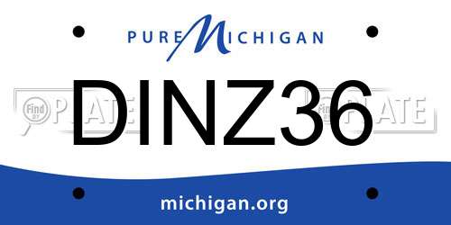 DINZ36 Michigan License Plate