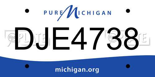 DJE4738 Michigan License Plate