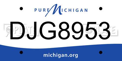 DJG8953 Michigan License Plate