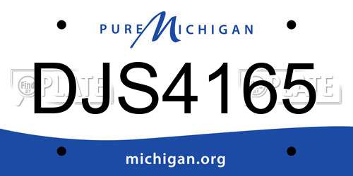 DJS4165 Michigan License Plate