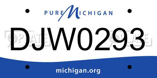 DJW0293 Michigan License Plate