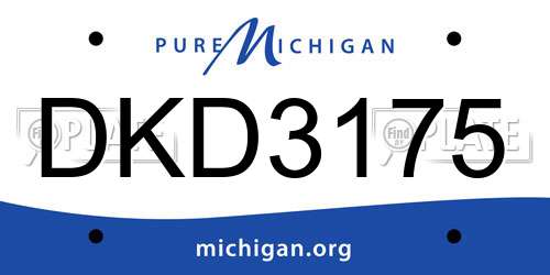 DKD3175 Michigan License Plate