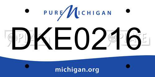 DKE0216 Michigan License Plate